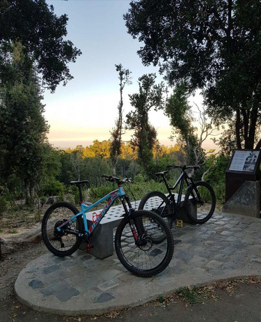 Bicicleta en la montaña 